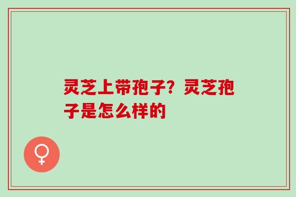 灵芝上带孢子？灵芝孢子是怎么样的