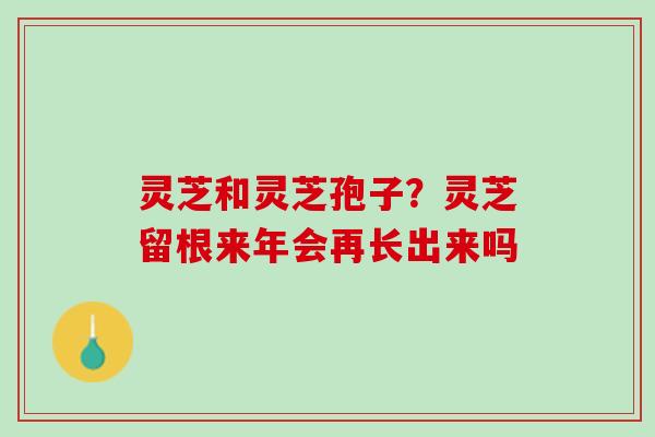灵芝和灵芝孢子?灵芝留根来年会再长出来吗 灵芝和灵芝孢子?灵芝留根来年会再长出来吗