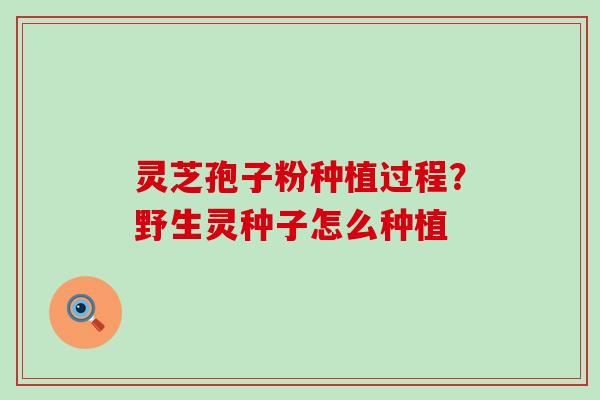灵芝孢子粉种植过程？野生灵种子怎么种植