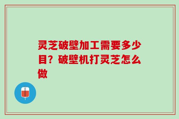 灵芝破壁加工需要多少目？破壁机打灵芝怎么做