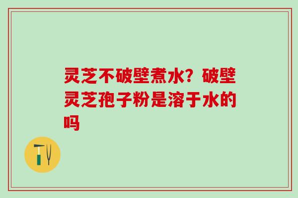 灵芝不破壁煮水？破壁灵芝孢子粉是溶于水的吗