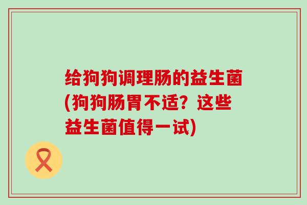 给狗狗调理肠的益生菌(狗狗肠胃不适?这些益生菌值得一试) 给狗狗调理肠的益生菌(狗狗肠胃不适?这些益生菌值得一试)