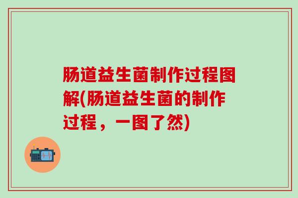 肠道益生菌制作过程图解(肠道益生菌的制作过程，一图了然)