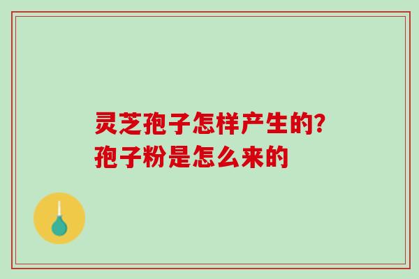 灵芝孢子怎样产生的？孢子粉是怎么来的