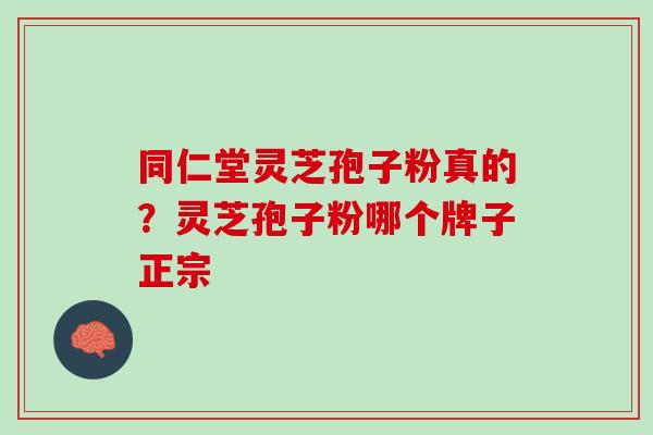 同仁堂灵芝孢子粉真的？灵芝孢子粉哪个牌子正宗