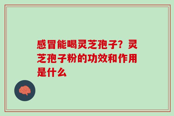 感冒能喝灵芝孢子？灵芝孢子粉的功效和作用是什么