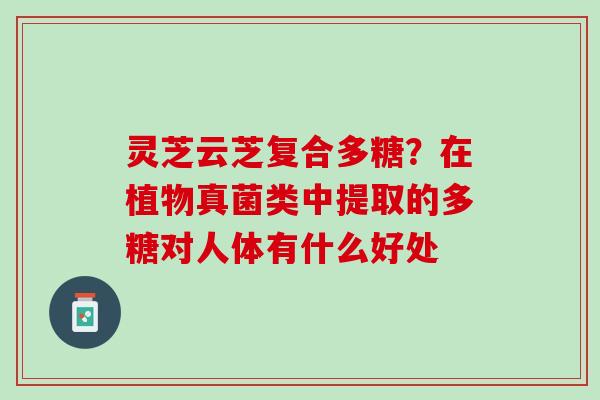 灵芝云芝复合多糖？在植物真菌类中提取的多糖对人体有什么好处