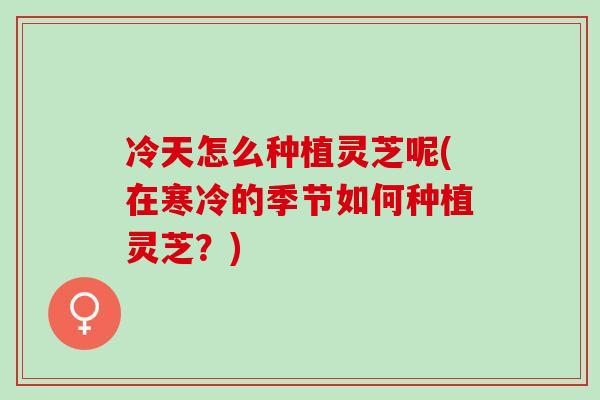 冷天怎么种植灵芝呢(在寒冷的季节如何种植灵芝？)