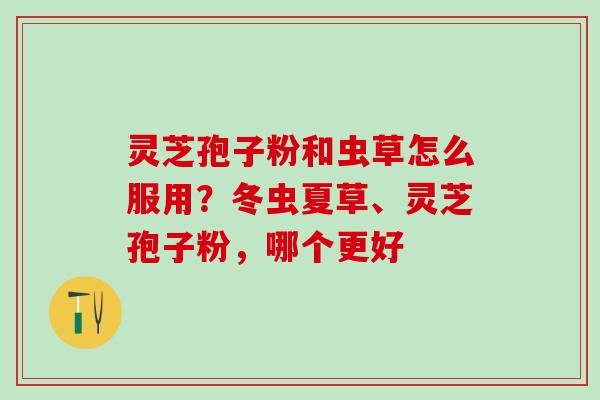 灵芝孢子粉和虫草怎么服用？冬虫夏草、灵芝孢子粉，哪个更好