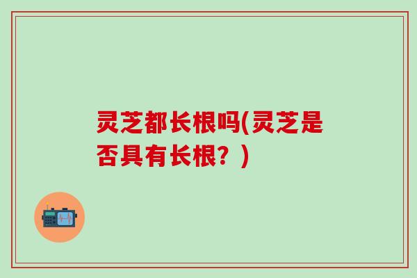 灵芝都长根吗(灵芝是否具有长根？)
