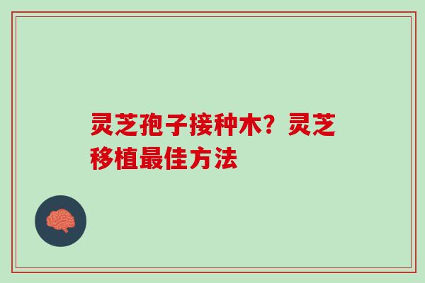 灵芝孢子接种木？灵芝移植最佳方法