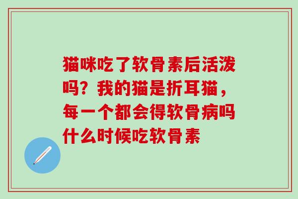 猫咪吃了软骨素后活泼吗？我的猫是折耳猫，每一个都会得软骨病吗什么时候吃软骨素