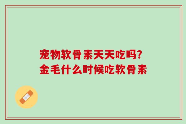 宠物软骨素天天吃吗？金毛什么时候吃软骨素