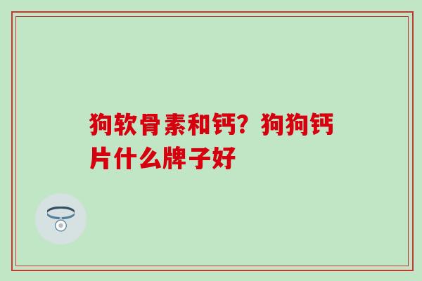 狗软骨素和钙？狗狗钙片什么牌子好