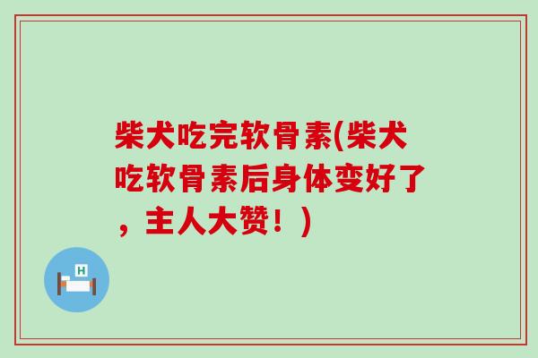 柴犬吃完软骨素(柴犬吃软骨素后身体变好了，主人大赞！)