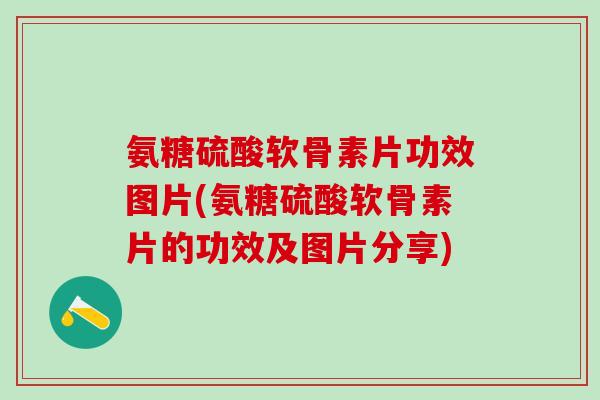 氨糖硫酸软骨素片功效图片(氨糖硫酸软骨素片的功效及图片分享)