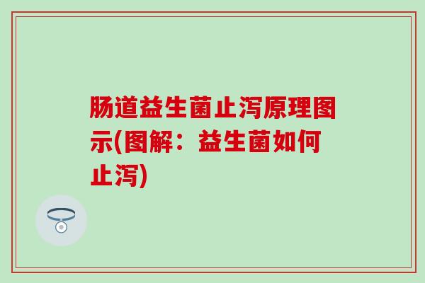 肠道益生菌止泻原理图示(图解：益生菌如何止泻)