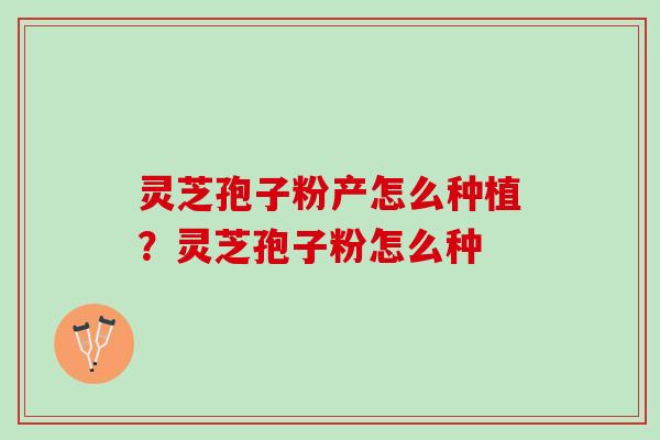 灵芝孢子粉产怎么种植？灵芝孢子粉怎么种