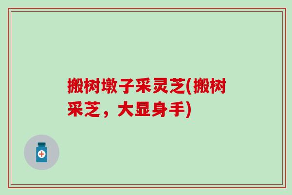 搬树墩子采灵芝(搬树采芝，大显身手)