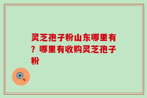 灵芝孢子粉山东哪里有？哪里有收购灵芝孢子粉