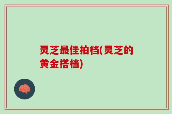灵芝最佳拍档(灵芝的黄金搭档)