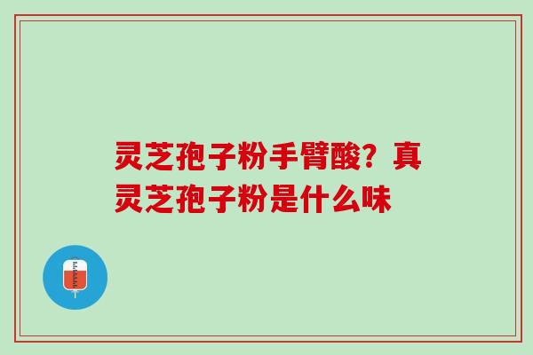 灵芝孢子粉手臂酸？真灵芝孢子粉是什么味