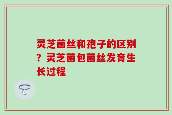 灵芝菌丝和孢子的区别？灵芝菌包菌丝发育生长过程