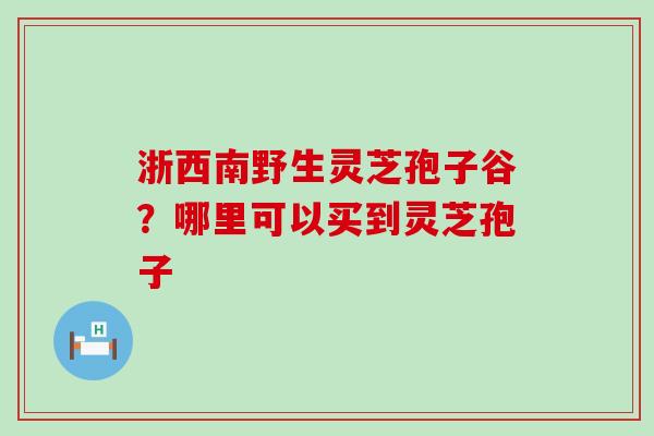 浙西南野生灵芝孢子谷？哪里可以买到灵芝孢子