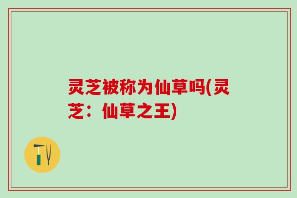 灵芝被称为仙草吗(灵芝：仙草之王)