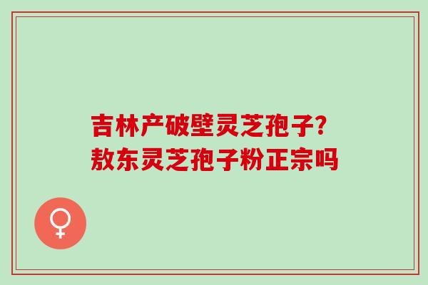 吉林产破壁灵芝孢子？敖东灵芝孢子粉正宗吗