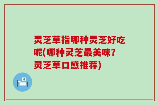灵芝草指哪种灵芝好吃呢(哪种灵芝最美味？灵芝草口感推荐)