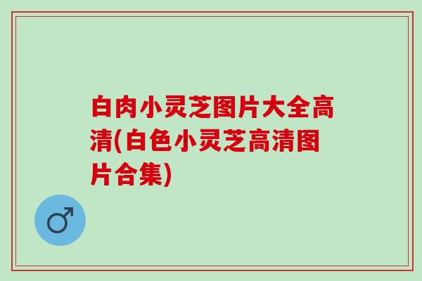 白肉小灵芝图片大全高清(白色小灵芝高清图片合集)