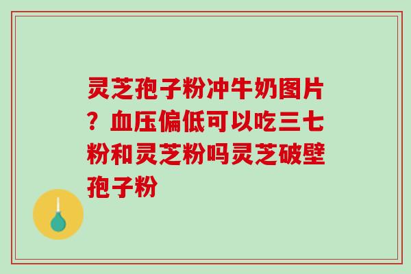 灵芝孢子粉冲牛奶图片？血压偏低可以吃三七粉和灵芝粉吗灵芝破壁孢子粉