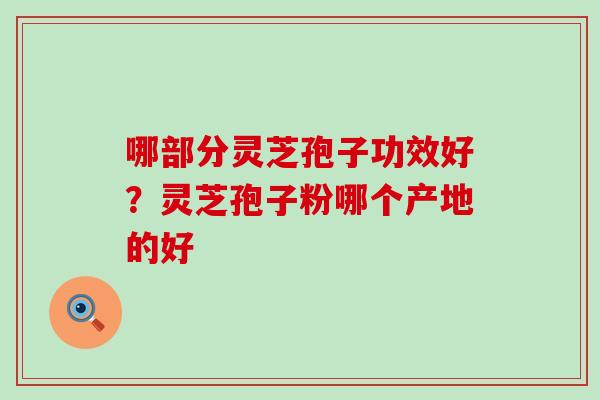 哪部分灵芝孢子功效好？灵芝孢子粉哪个产地的好