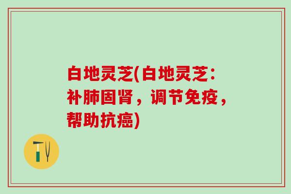 白地灵芝(白地灵芝：补肺固肾，调节免疫，帮助抗癌)