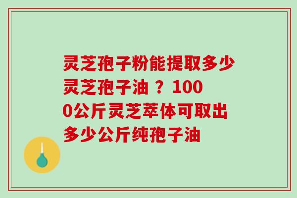 灵芝孢子粉能提取多少灵芝孢子油 ？1000公斤灵芝萃体可取出多少公斤纯孢子油