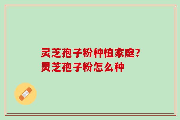 灵芝孢子粉种植家庭？灵芝孢子粉怎么种