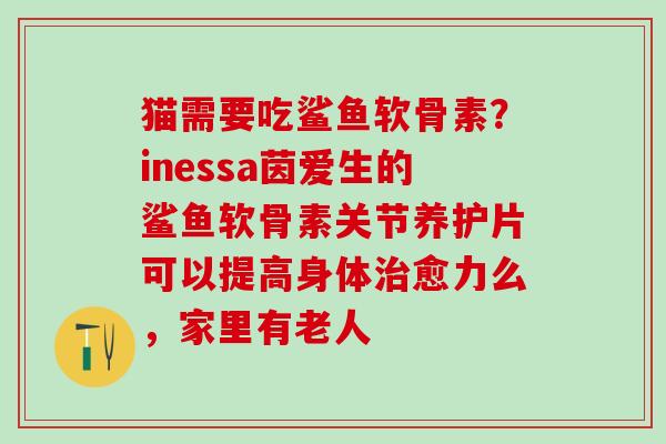 猫需要吃鲨鱼软骨素？inessa茵爱生的鲨鱼软骨素关节养护片可以提高身体治愈力么，家里有老人