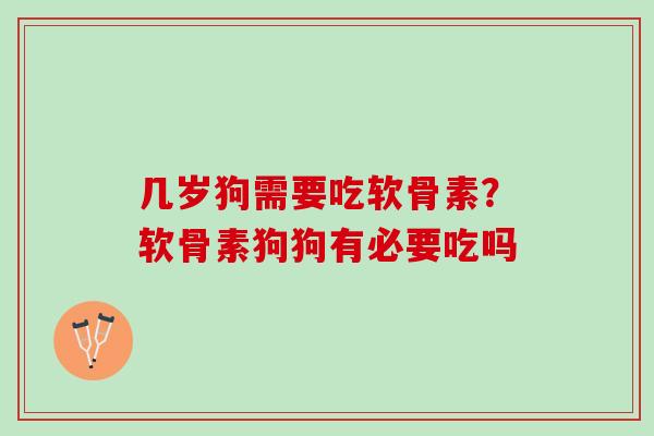 几岁狗需要吃软骨素？软骨素狗狗有必要吃吗