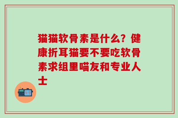 猫猫软骨素是什么？健康折耳猫要不要吃软骨素求组里喵友和专业人士