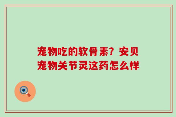 宠物吃的软骨素？安贝宠物关节灵这药怎么样