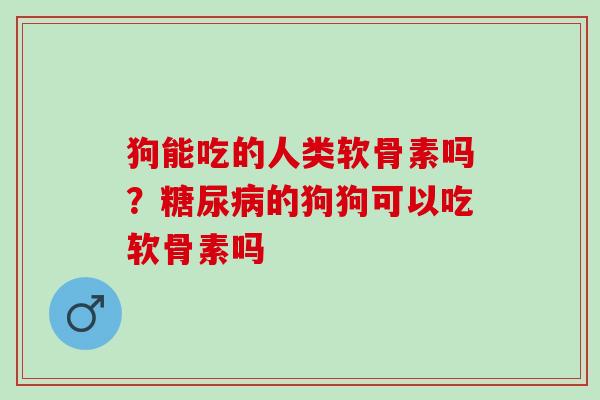 狗能吃的人类软骨素吗？糖尿病的狗狗可以吃软骨素吗