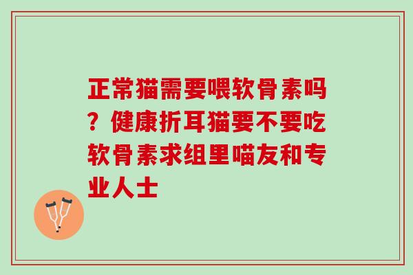 正常猫需要喂软骨素吗？健康折耳猫要不要吃软骨素求组里喵友和专业人士