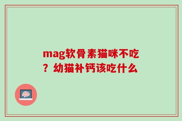 mag软骨素猫咪不吃？幼猫补钙该吃什么