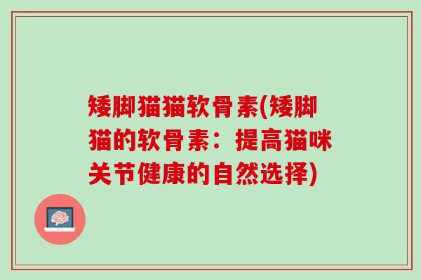 矮脚猫猫软骨素(矮脚猫的软骨素：提高猫咪关节健康的自然选择)