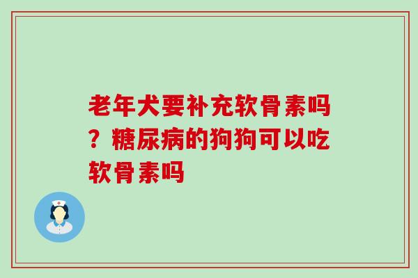 老年犬要补充软骨素吗？糖尿病的狗狗可以吃软骨素吗