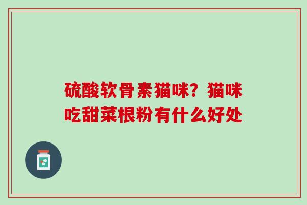 硫酸软骨素猫咪？猫咪吃甜菜根粉有什么好处