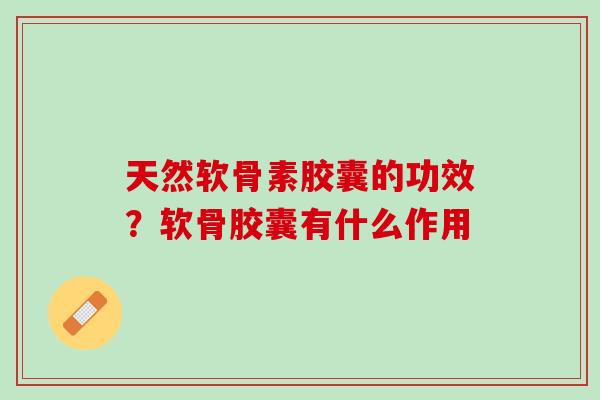 天然软骨素胶囊的功效？软骨胶囊有什么作用