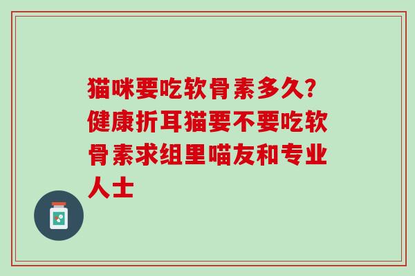 猫咪要吃软骨素多久？健康折耳猫要不要吃软骨素求组里喵友和专业人士