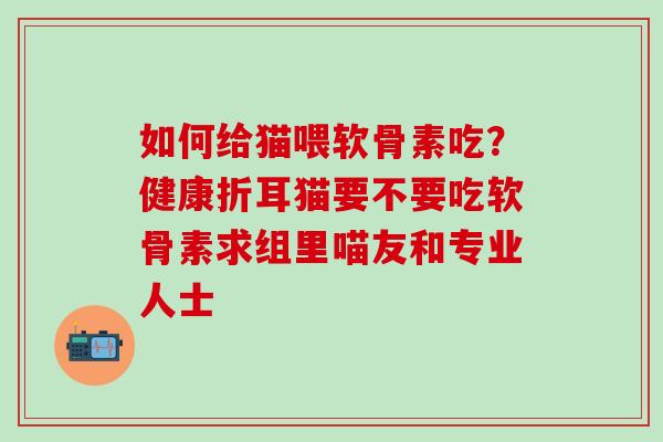 如何给猫喂软骨素吃？健康折耳猫要不要吃软骨素求组里喵友和专业人士